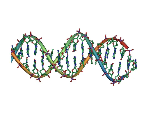 Your Genes Load the Gun. Your Lifestyle Pulls the Trigger. Here's How to Aim.
