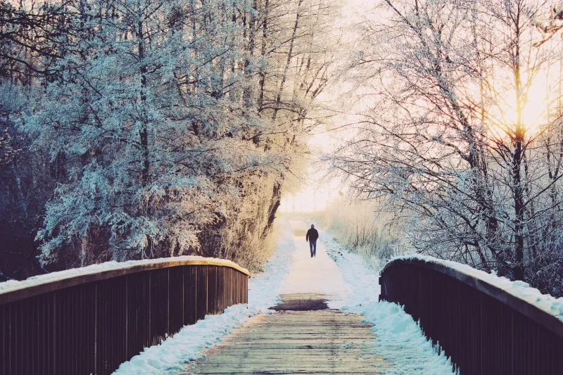 Your Energy Doesn't Crash in Winter Because of a Vitamin D Deficiency — Here's What's Actually Happening